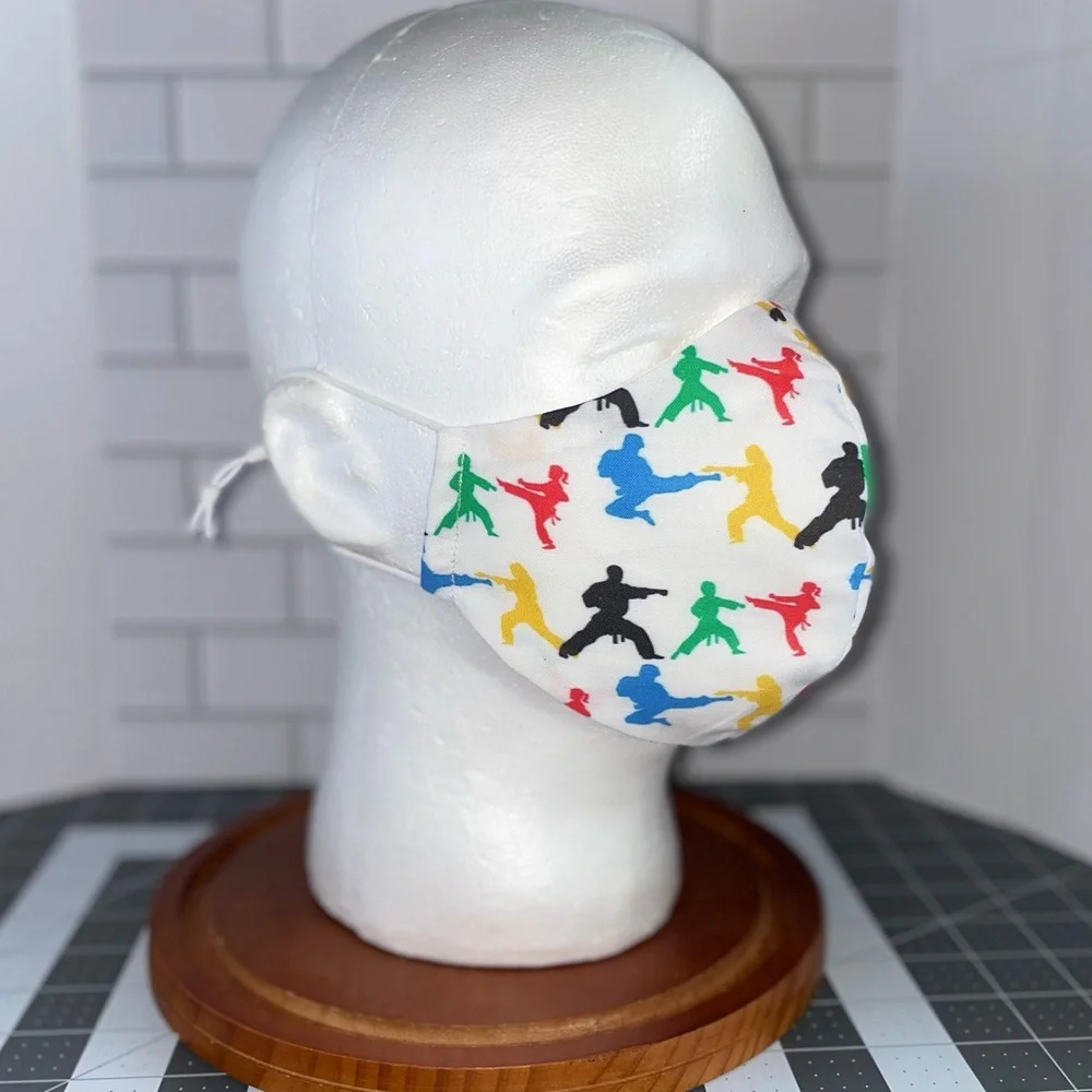 Martial arts facemask taekwondo
